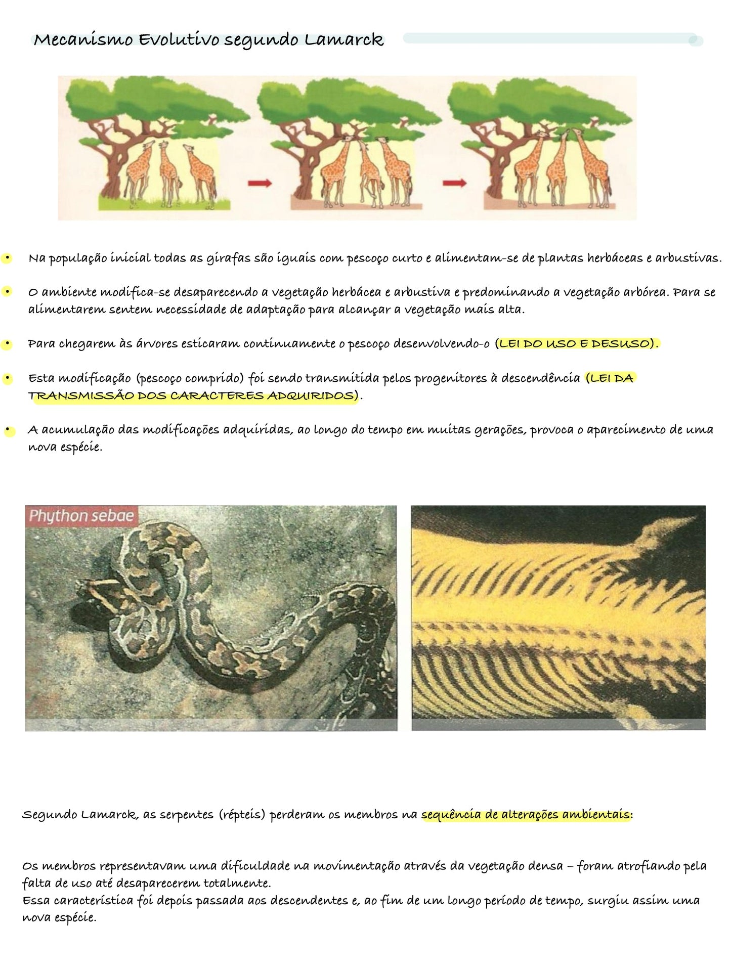 Resumo Biologia 11 ano