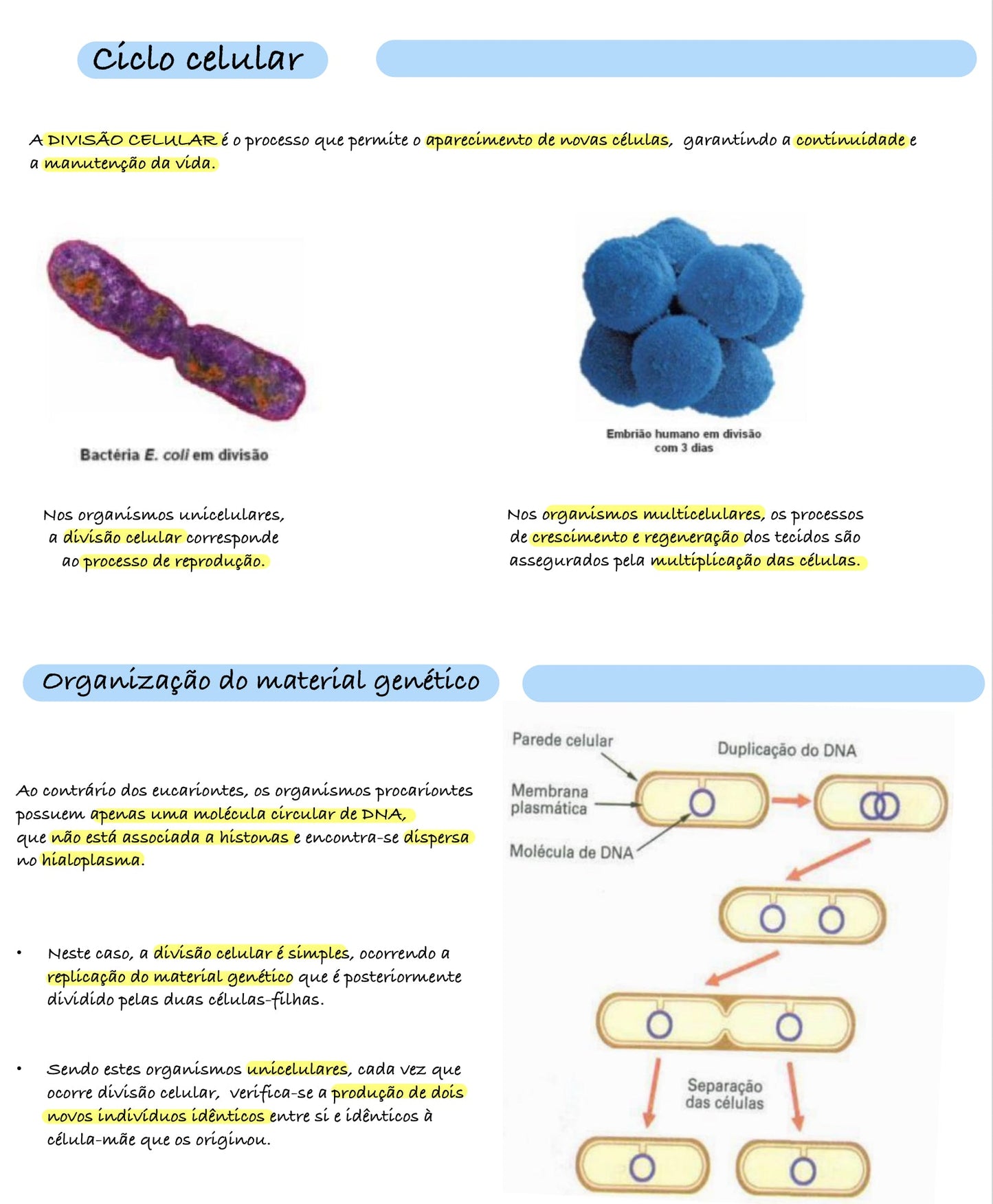 Resumo Biologia 11 ano