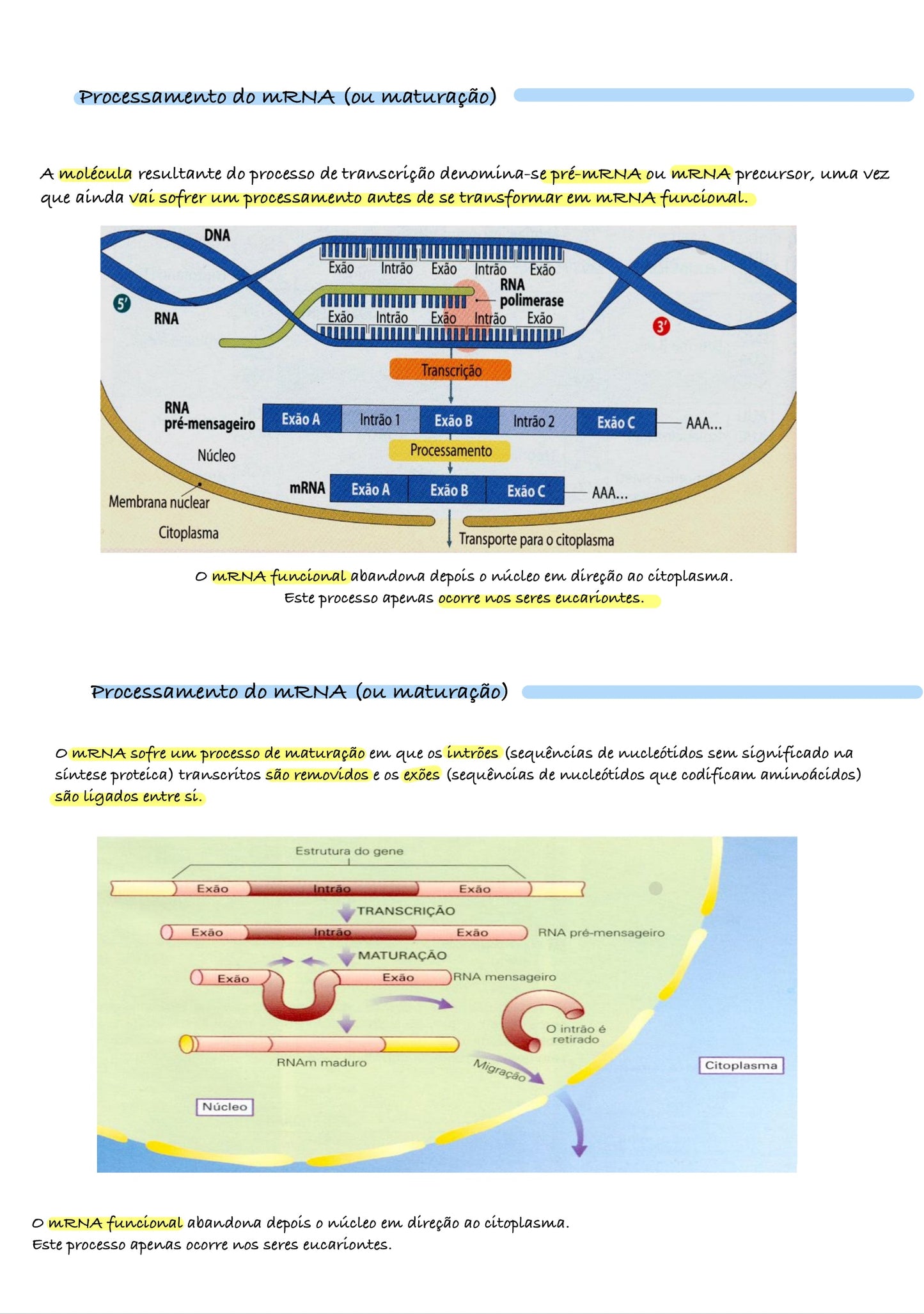 Resumo Biologia 11 ano