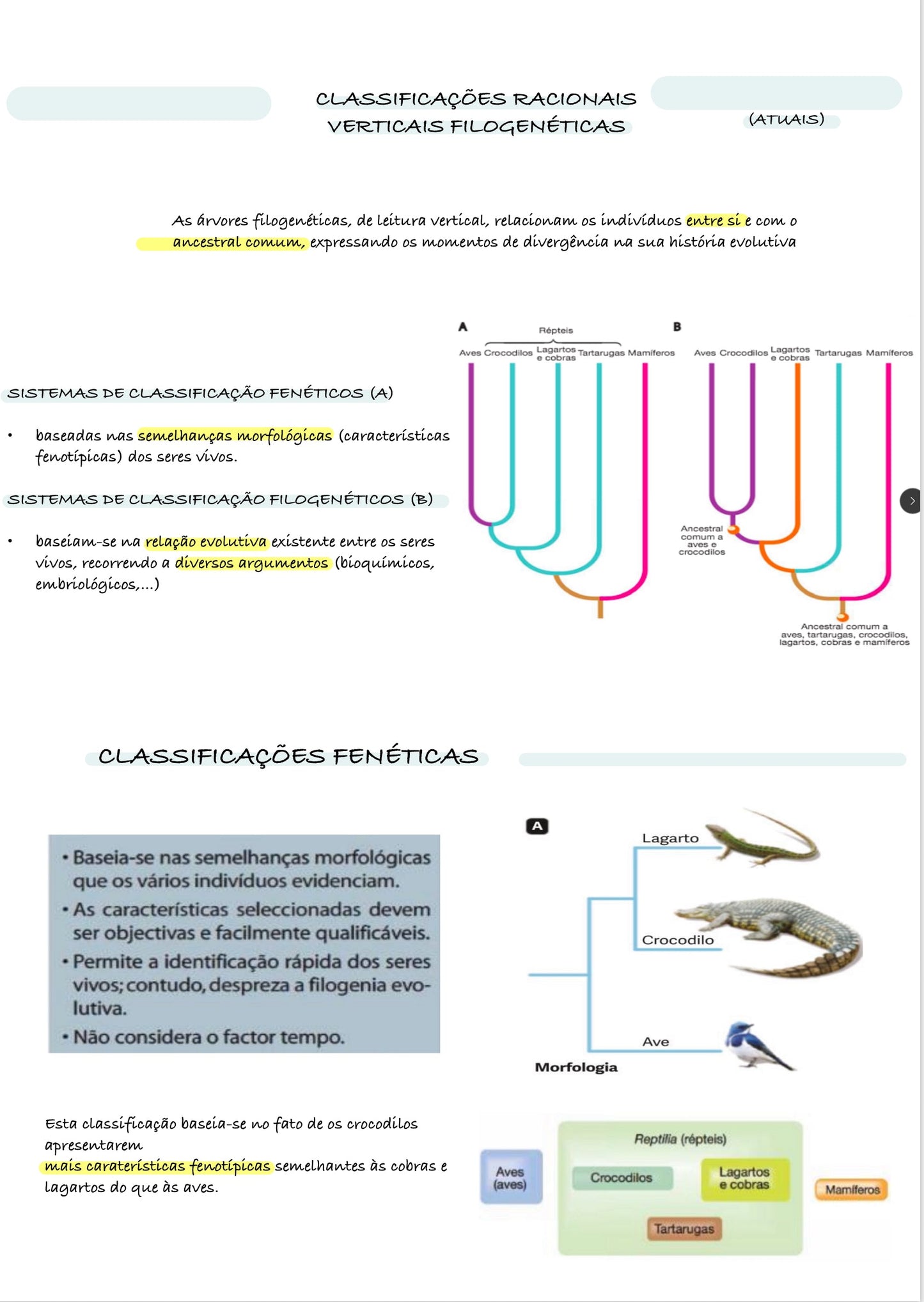 Resumo Biologia 11 ano