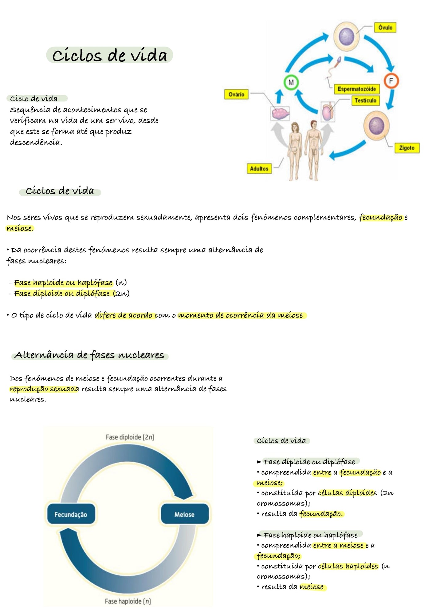 Resumo Biologia 11 ano