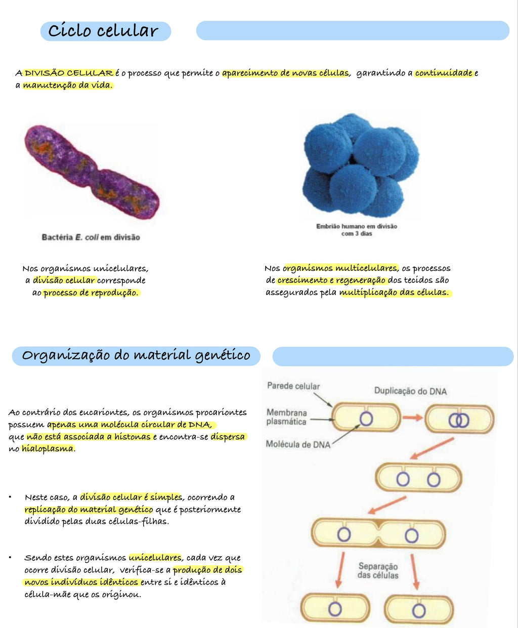 Resumo Biologia 11 ano