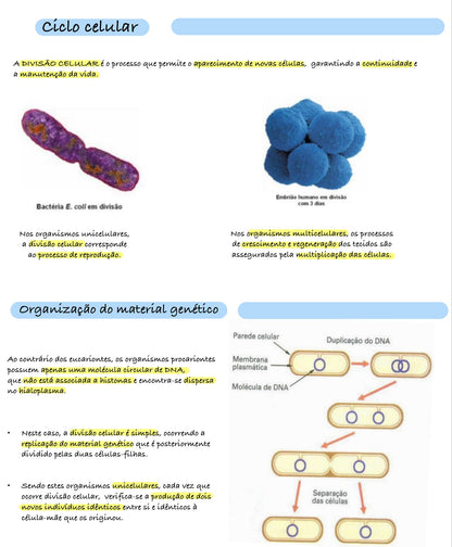Resumo Biologia 11 ano