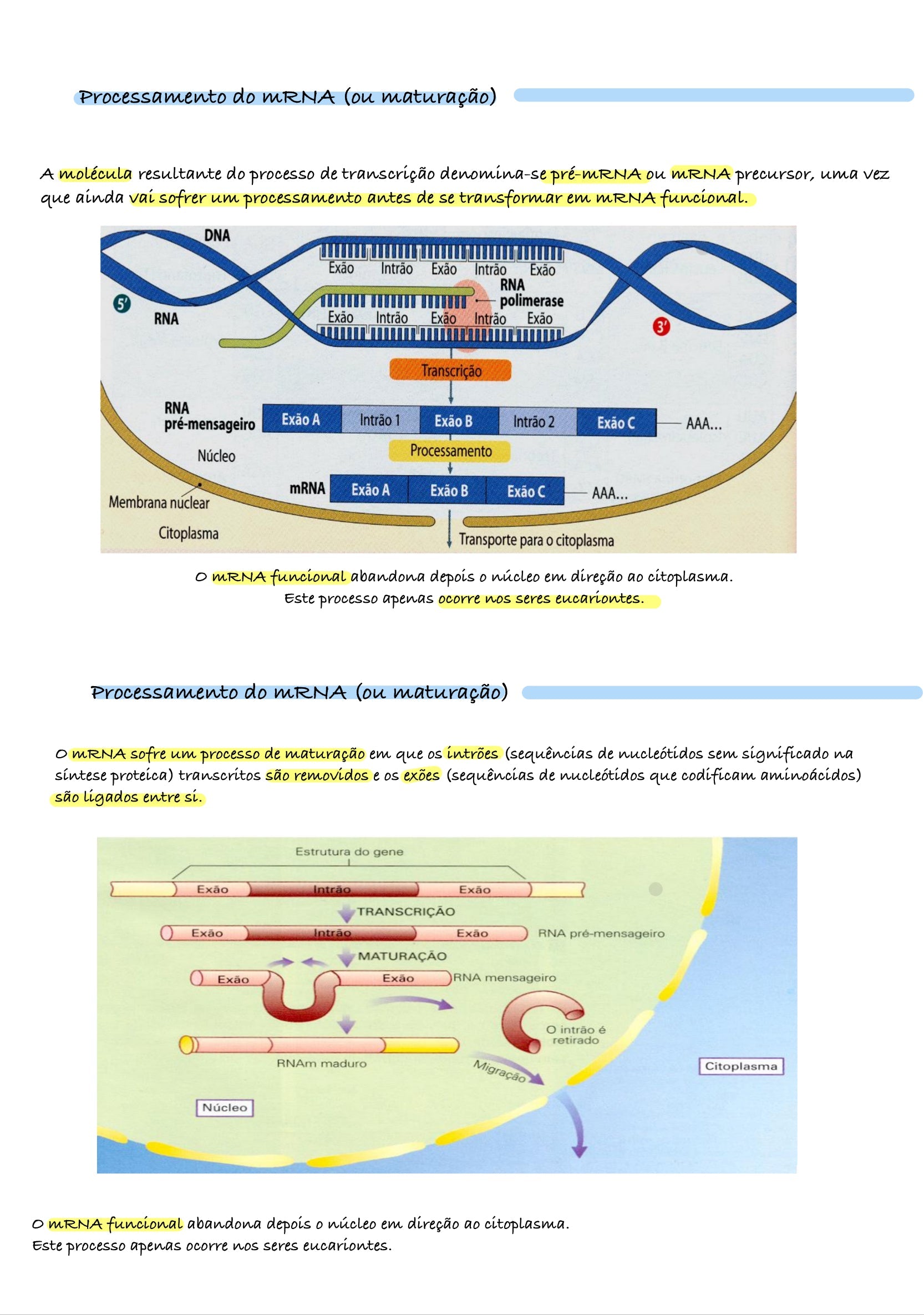 Resumo Biologia 11 ano