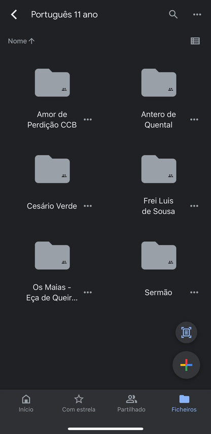 Resumo 11 ano Português