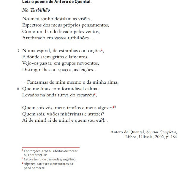 Resumo 11 ano Português