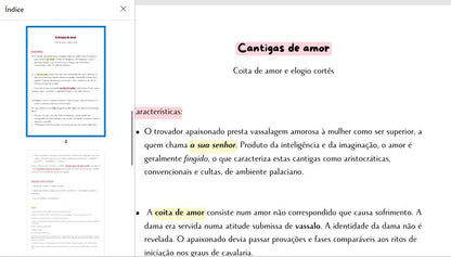 Resumo 11 ano Português